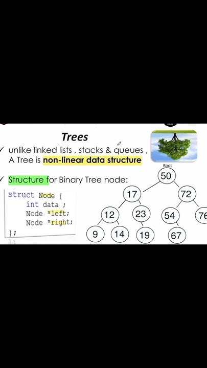 Trees concept (Data Structures) with C++ ||| #coding #cpp - YouTube