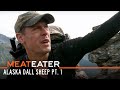 The Greatest Draw: Alaska Dall Sheep Pt.1 | S2E10 | MeatEater