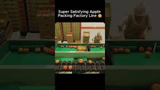 Super Satisfying Apple Packing Factory Line 😌