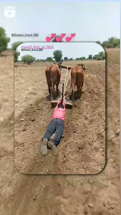 Aadivasi Status Video mese verta ni Aavde vo