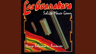 Video thumbnail of "Los Guanabara - Trago Patrón"