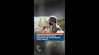 Satpol PP Bakal Denda Rp 50 Juta bagi Warga Jaktim yang Rumahnya Ada Jentik Nyamuk Aedes Aegypti