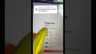 A cheaper flipper zero