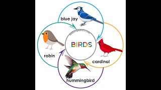 birds and insects Vocabulary (including worksheets)