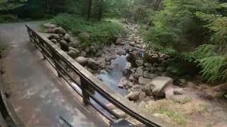 Batt out of hell Rostrevor Red trail