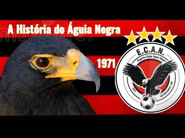 Esporte Clube Águia Negra - Wikipedia