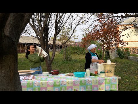 სულით ნათესავები - \"მრავალფეროვნების სახეები\"