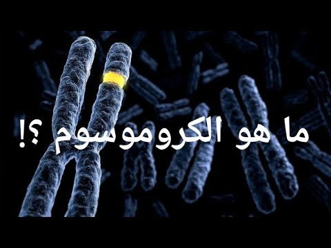 ما هو الكروموسوم ؟ - what is a chromosome