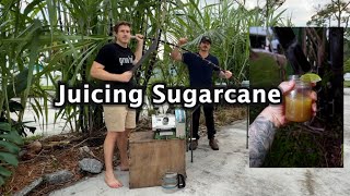 How to Juice Sugarcane at Home Using a Hand Crank (Beginner Friendly Tips!)