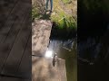 КАРАСЬ КЛЮЁТ 🐟👍