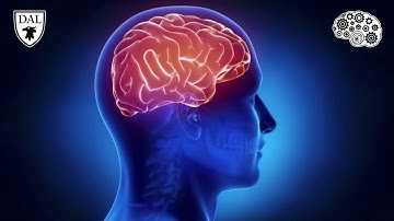 Tricky Topic: Cortical Anatomy