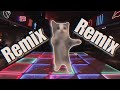 Happy cat remix
