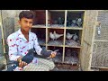 Pigeon in Nagpur || Rizwan Bhai keh High flyer || High flying Pigeon in Nagpur