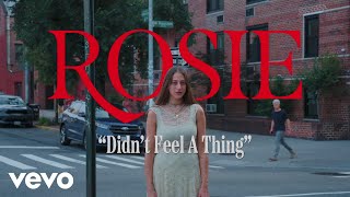 ROSIE - Didn't Feel a Thing (Lyric Video)