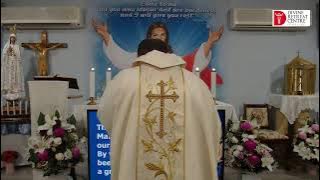 Catholic Online Holy Mass