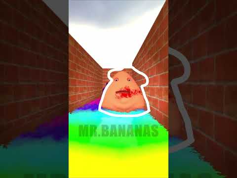 👾 CAN YOU CATCH ALL VERSIONS POU BOU IN RAINBOW MAZE GMOD