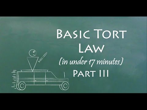 Understand Tort Law in 17 Minutes (Part III)