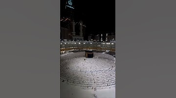 يَا أَيُّهَا الَّذِينَ كَفَرُوا لَا تَعْتَذِرُوا الْيَوْمَ #المصحف #الشيخ_بدر_التركي #سورة_التحريم