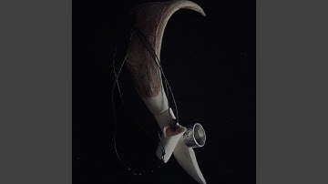 Bryophyte (feat. Straif)