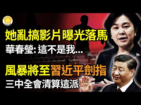 ??她乱搞影片曝光落马 华春莹否认;朝鲜残忍处决 主播目击后心脏病发身亡;风暴将至!三中全会习近平剑指这派;突发重创! 伊朗隐形护卫舰沉没;日菲签署防卫协议 自卫队可在菲国训练【阿波罗网】