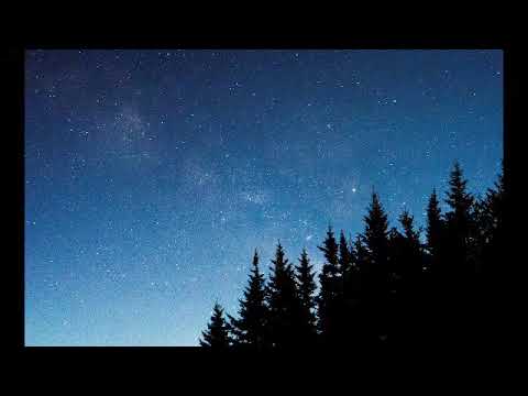 Adele- Chasing Pavements (Lyrics)