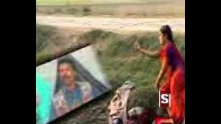 Kary sady koloon dorian - SHAHZADA ASIF ALI