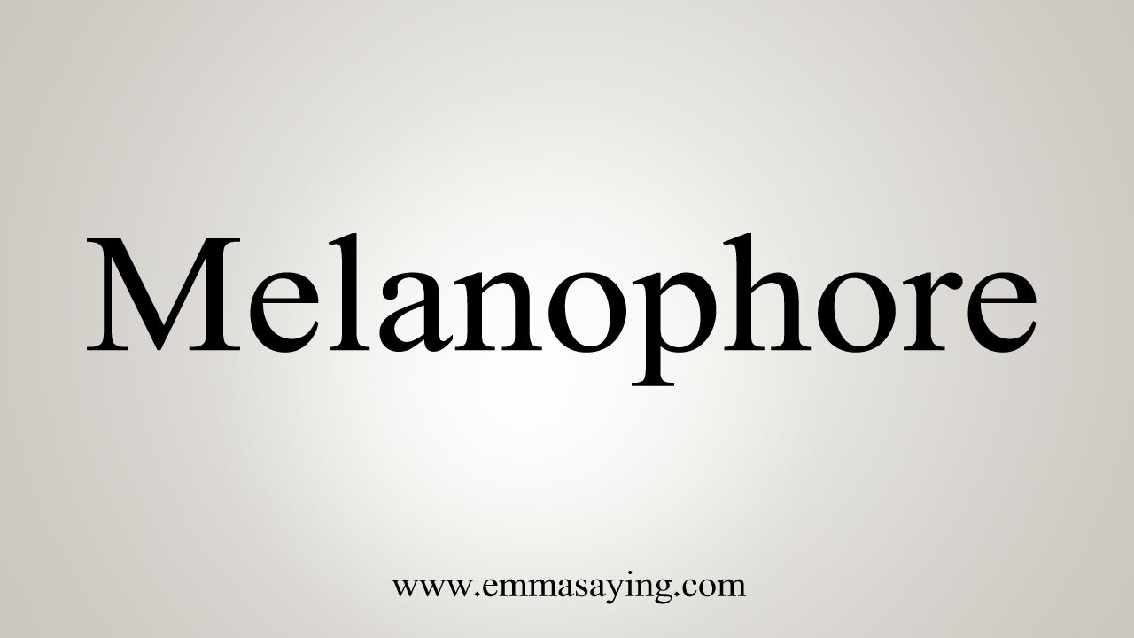 How To Say Melanophore