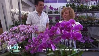 La folie des orchidées - Reportage - Visites privées