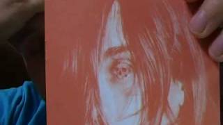 Album Review : Microcastle by Deerhunter