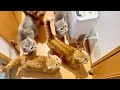 パパが寝室に移動するたびねこもふ家はこうなります。