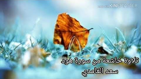 تلاوة خاشعة من سورة هود  سعد الغامدي