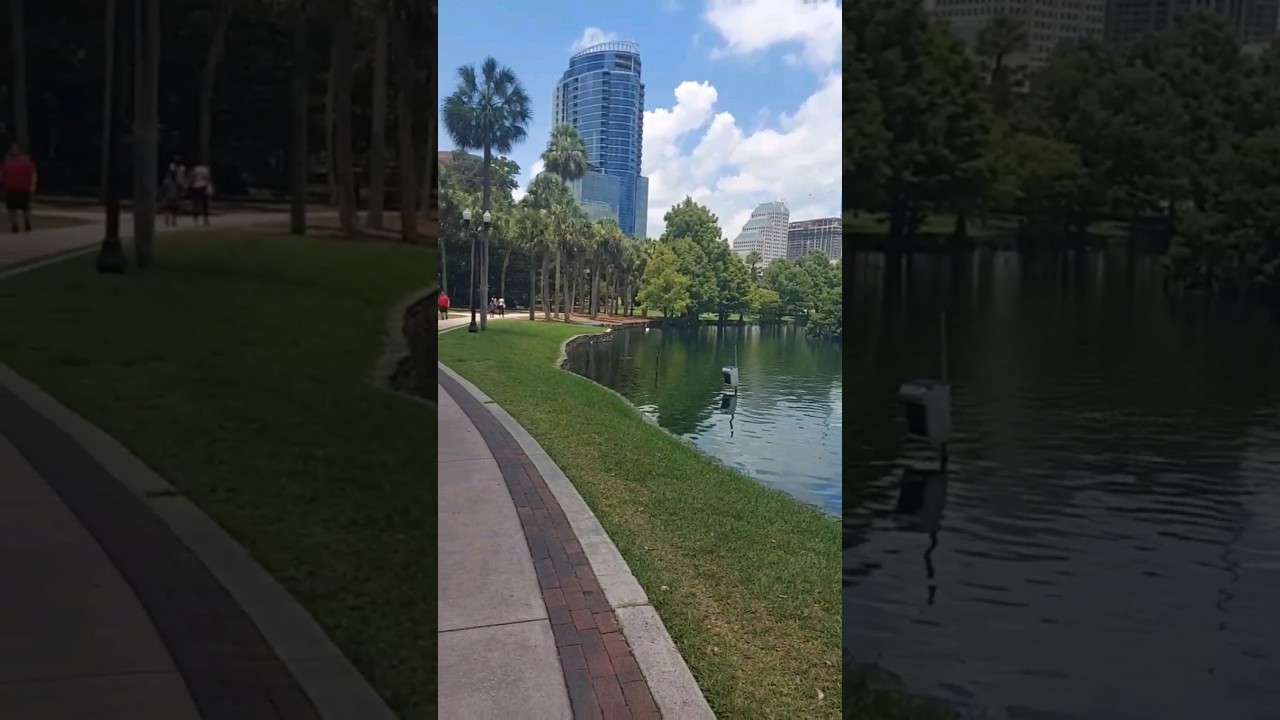 Exotic Birds at Lake Eola Park, Orlando