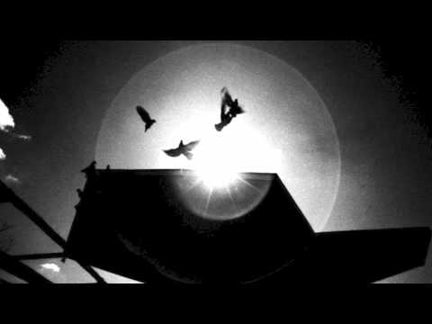 さらば愛しき危険たちよ / 浅井輝比古 (Ames Room)　※JUN SKY WALKER(S)カバー