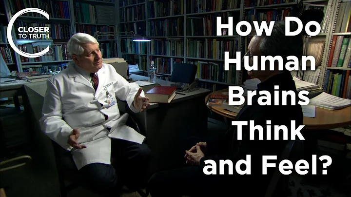 Carmine Clemente - How Do Human Brains Think and Feel?