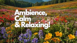 Relaxing Music Video Nature Ambience+Calm Music Rain #meditation #freeyourmind