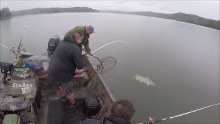 Do FISHING APPS really Work? Real-World Test on Big Fish screenshot 2