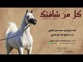شيله كل من شافتك تركد شياطينها اداء صوت الفخامه متعب الخيل جديد2024حصريا شيله كل من شافتك تركد شياطينها اداء صوت الفخامه متعب الخيل جديد2024حصريا