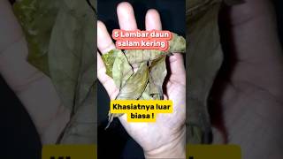 Download Lagu 5 Lembar daun salam kering khasiatnya luar biasa !#obatherbal #obatalami #daunsalam #bumbudapur MP3