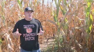 Backroads: Truett Pumpkin Patch