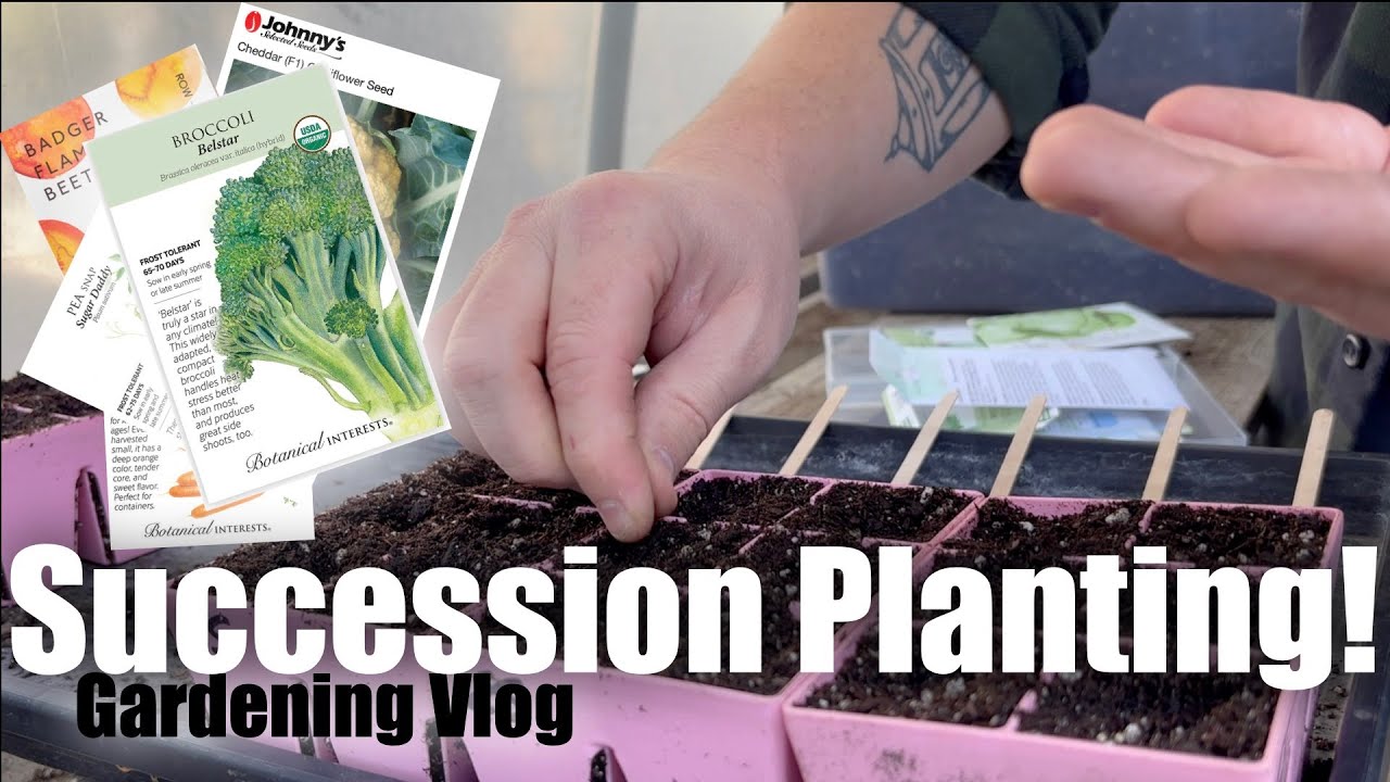 Succession Planting for Fall Extend Your Harvest Season