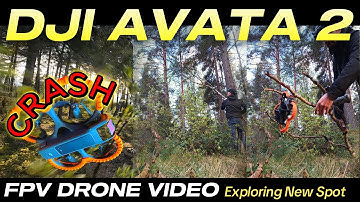 🌲 Drone Grabbed by a Tree?! Recovery After Unexpected Crash! Dji Avata 2