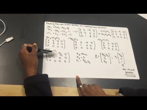 Homogeneous and Non-homogeneous Systems