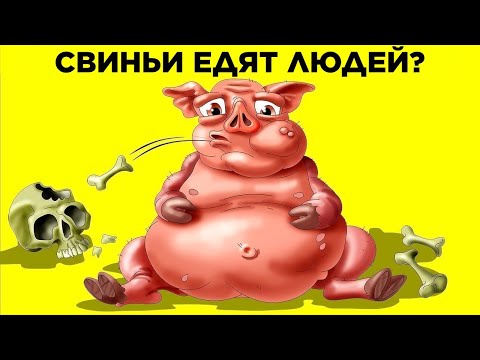 Видео: Свиньи Едят Людей? Парад Фактов: Животные