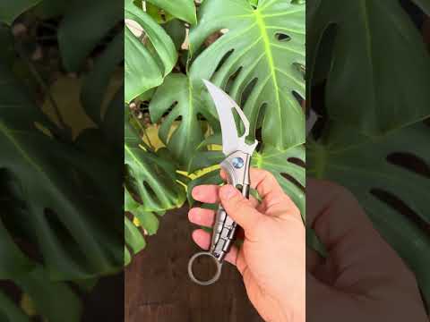 Rike Knife Alien 2 Karambit Titanium Biomech Wave opener Ring Richard Wu Design  folder defense