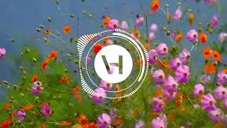 Nu Mă Satur Să Privesc Remix - Vertichouse