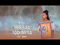 Artist Eebbisaa Addunyaa