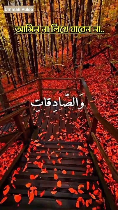 👉🎧Surah Al Ahzab 33:35 |Heart Touching Quran Recitation#quranrecitation #surahalahzab#surah33#foryou