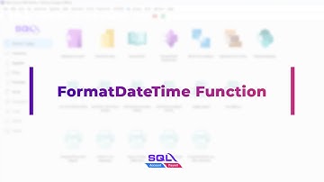Fast Report (fr3) - Format Date Time Function