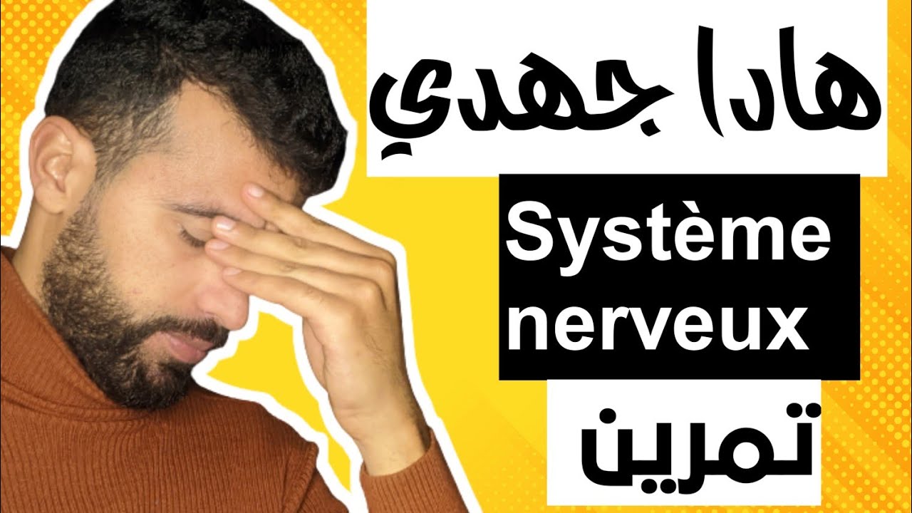le système nerveux 3ème année collège svt régional extrait d'exercices
