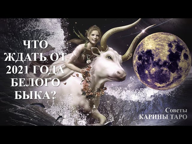 Карина Таро Новые Видео 2022 Года